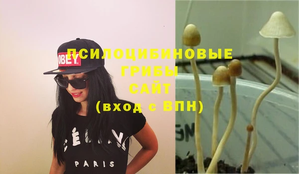 эйфоретик Надым