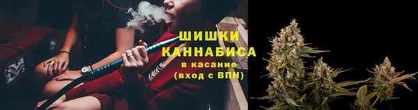 эйфоретик Надым