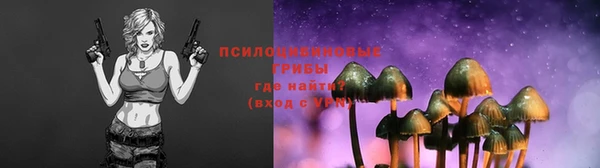 эйфоретик Надым