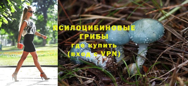 эйфоретик Надым