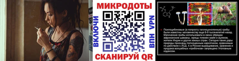 Псилоцибиновые грибы MAGIC MUSHROOMS  Купить закладки  Алексеевка 